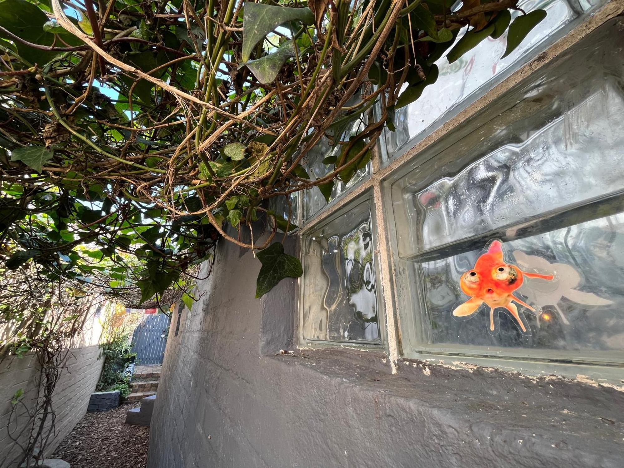 Seaside Getaway @ Swallow House Suite #2 Cidade Do Cabo Exterior foto